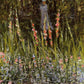 Claude Monet Virtual Art Tour