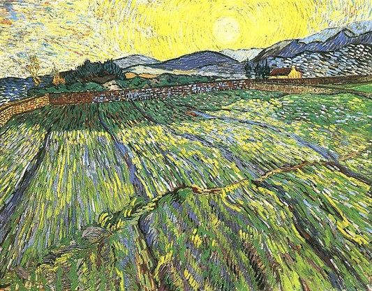 Vincent van Gogh Art Tour - Street Art Museum Tours