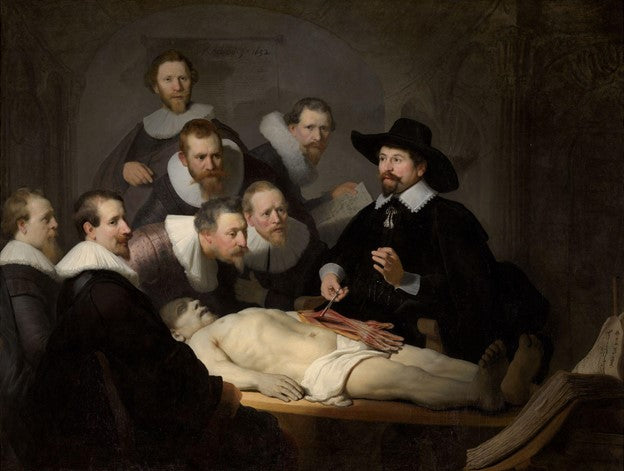 - A dramatically lit Dr. Nicolaes Tulp dissects the forearm of a corpse in front of a group of interested colleagues.